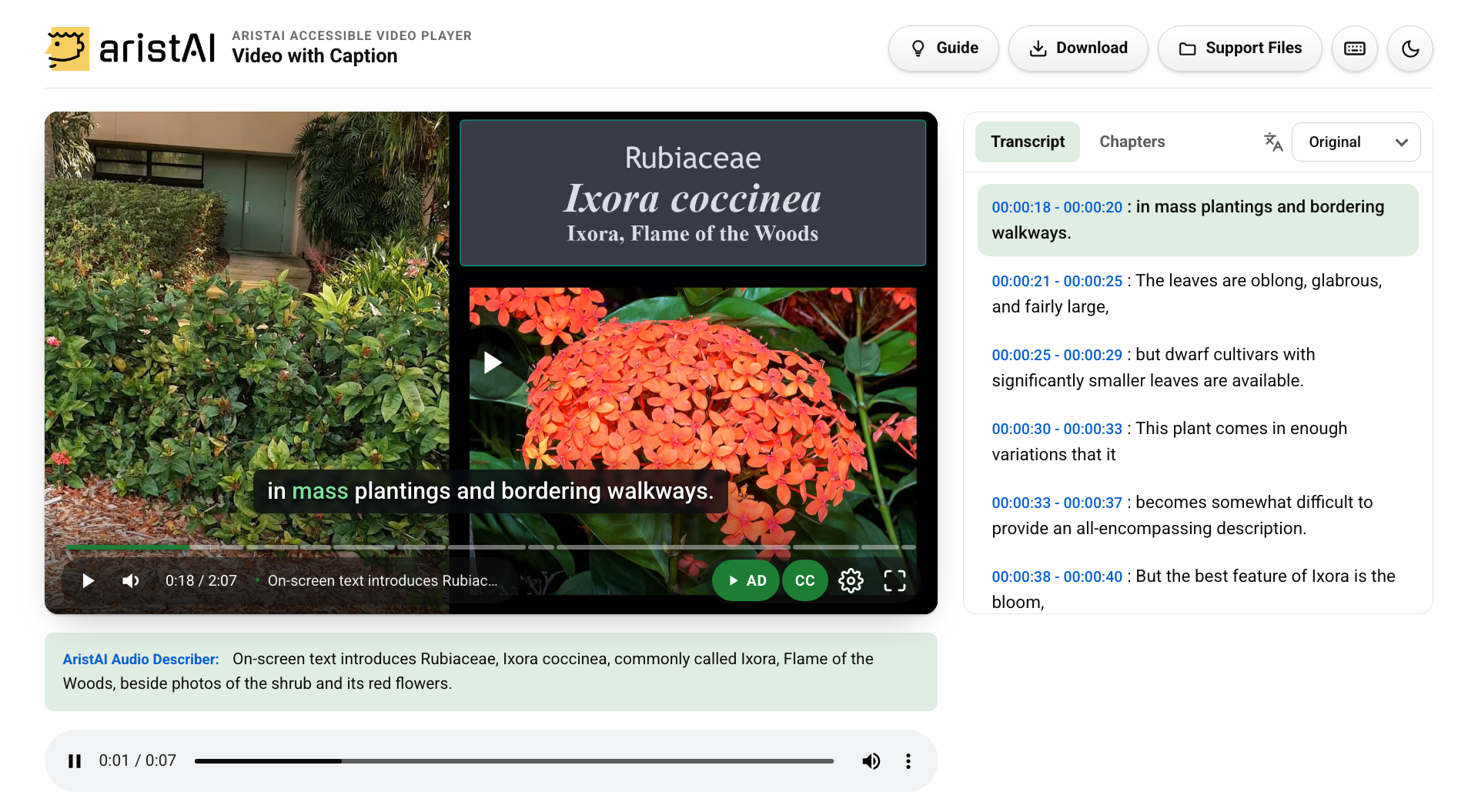 The AristAI accessible video player: a garden video with open captions playing beside a transcript panel of timestamped lines, the line being spoken highlighted, and below the player the audio description written out with its own audio player.